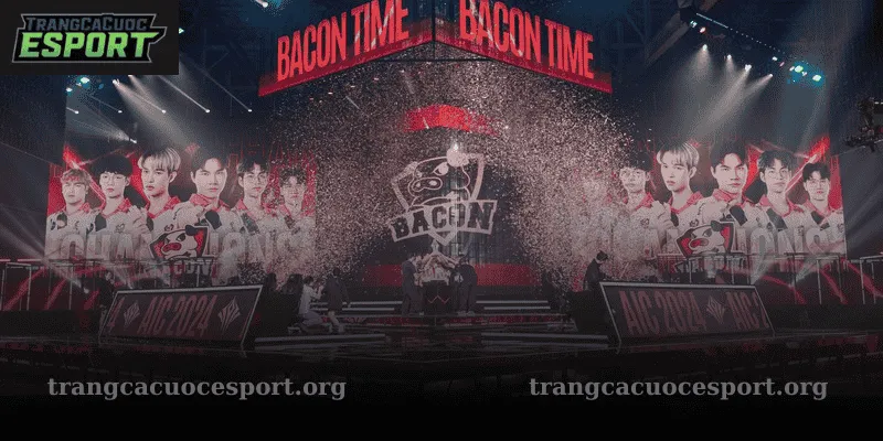 Các đội tuyển tham gia AIC