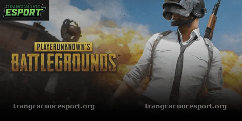 Chia Sẻ Kinh Nghiệm Chơi Kèo Cá Cược PUBG Thắng Lớn