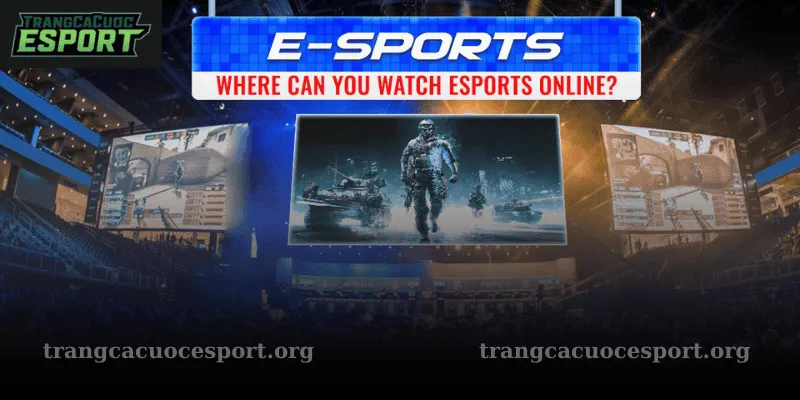 esports fun88 thưởng độc quyền