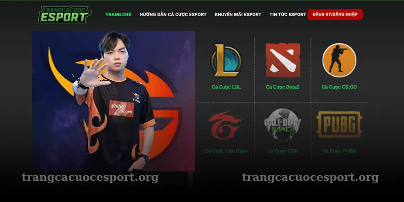 quyết định làm founder esport