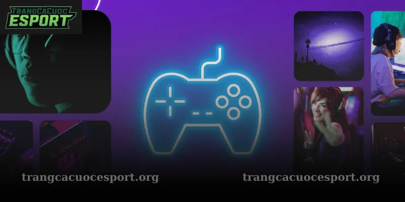 top 1 hoàn trả jbo esports